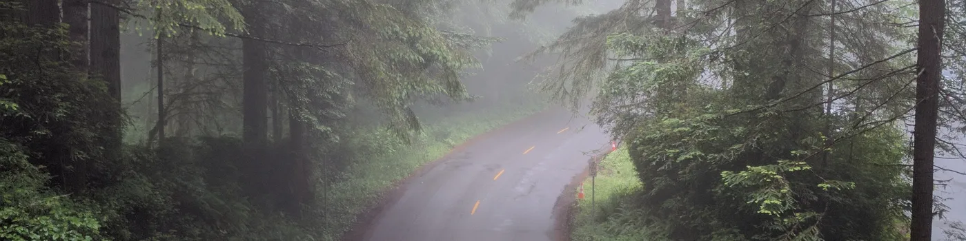 Road with green trees