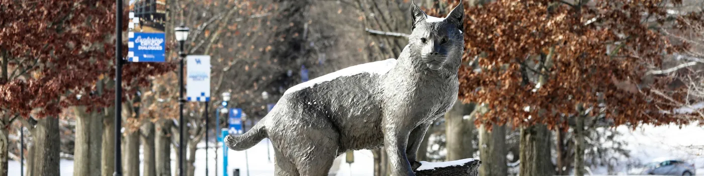 Wildcat statue with fallen snow in the winter.