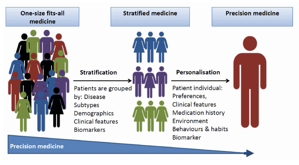 Infographic: One-size fits-all medicine - Stratification: Patients are grouped by disease, subtypes, demographics, clinical features and biomarkers - Personalization: Patient individual: Preferences, clinical features, medication history, environment, behaviors and habits, and biomarkers