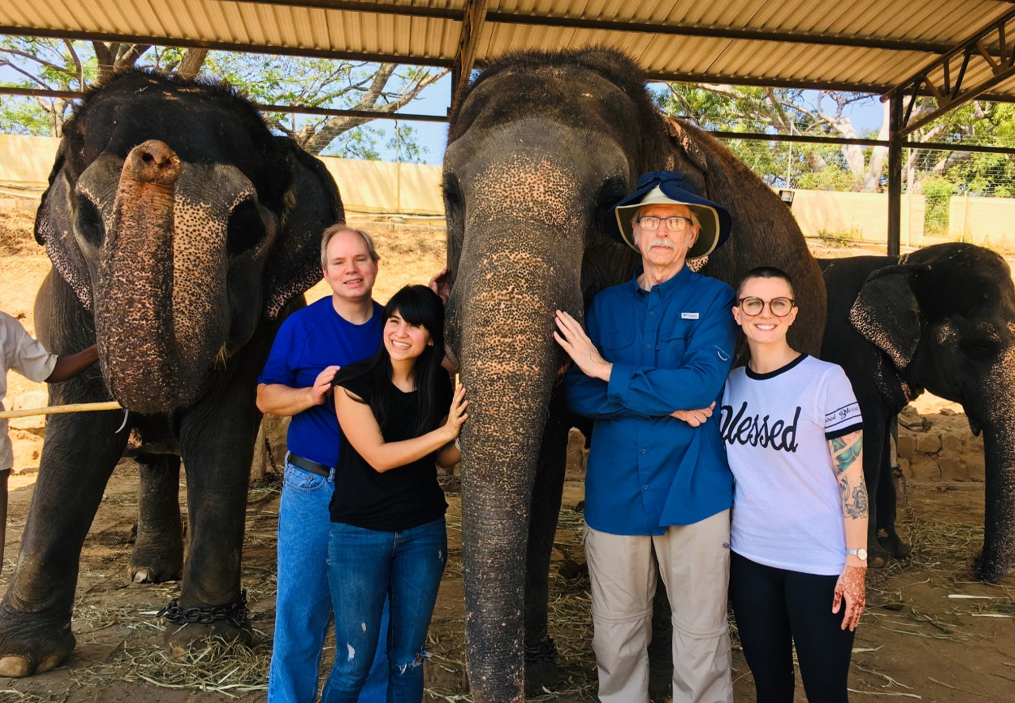 Residents and faculty with elephants at one of the Global Health Program locations.