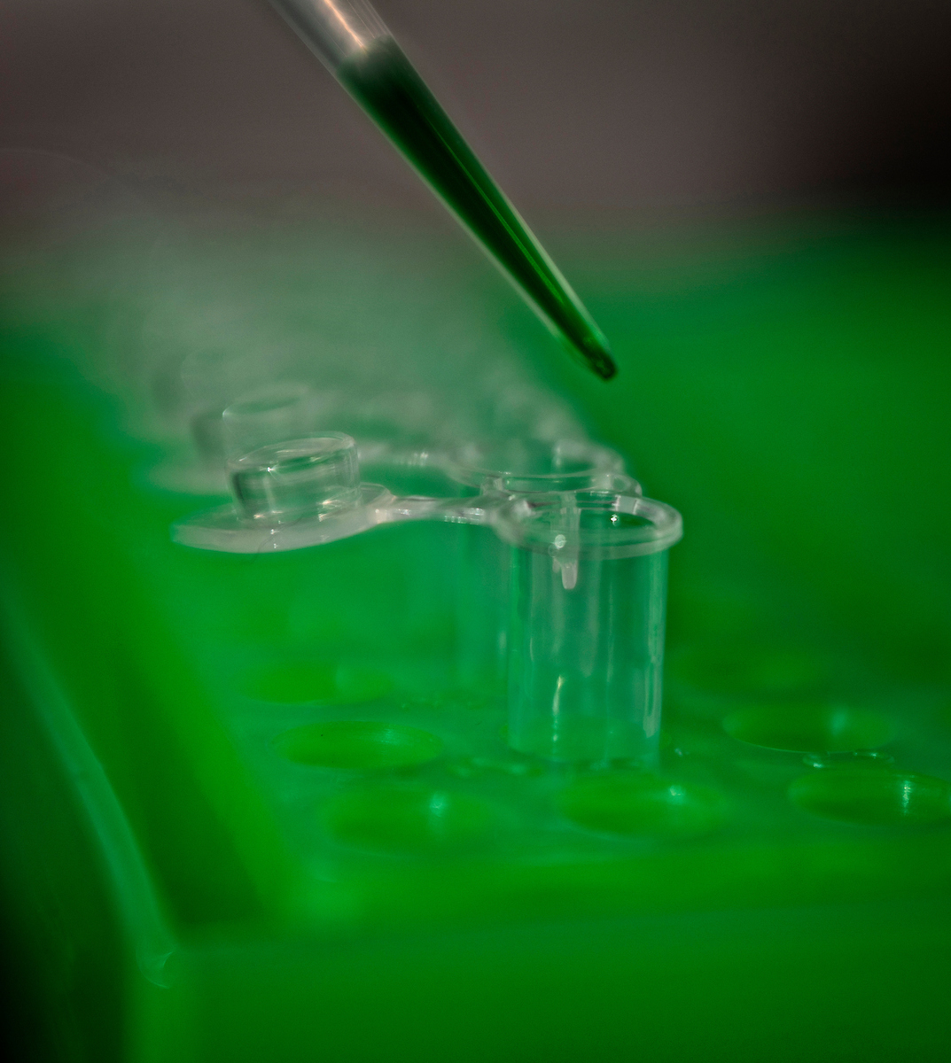 pipette with green liquid above test tubes