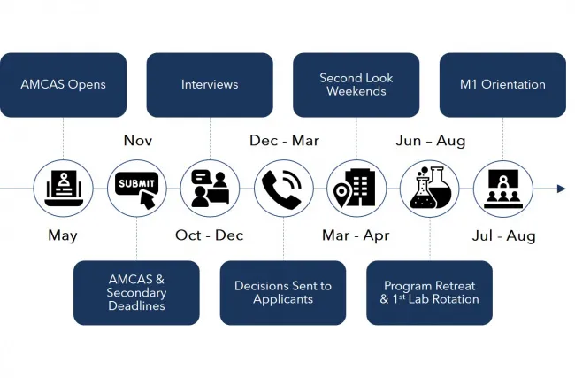 Application flowchart infographic