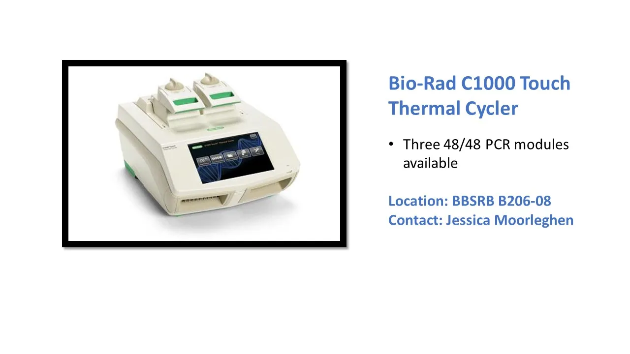 thermal cycler