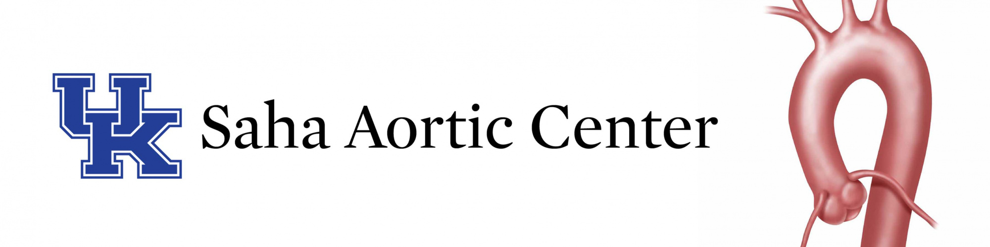 Saha Aortic Center