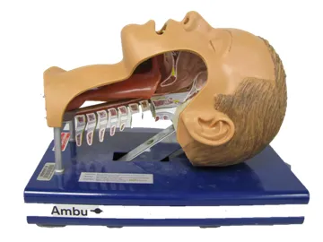 Ambu Airway Management Trainer