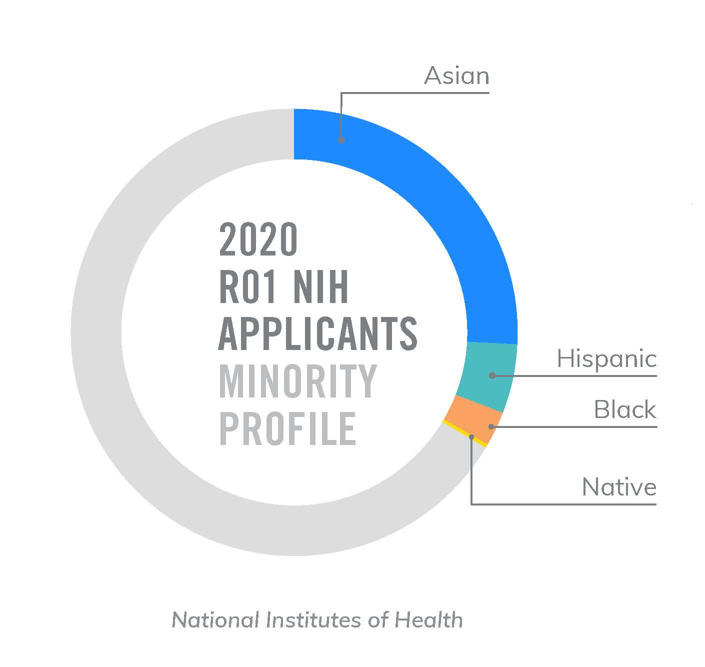 2020 Minority Profile of NIH R01 Applicants