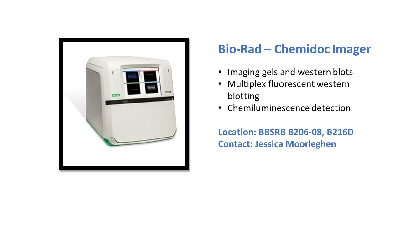 Description of Bio-Rad Chemidoc Imager