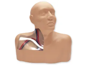 Blue Phantom -Regional Anesthesia and Central Venous Access Ultrasound (head, neck & upper torso)