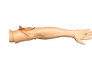 Adult IV Training Arm