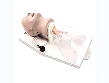 adult difficult airway simulation trainer