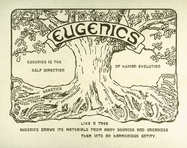 picture of large tree with "eugenics" across the top