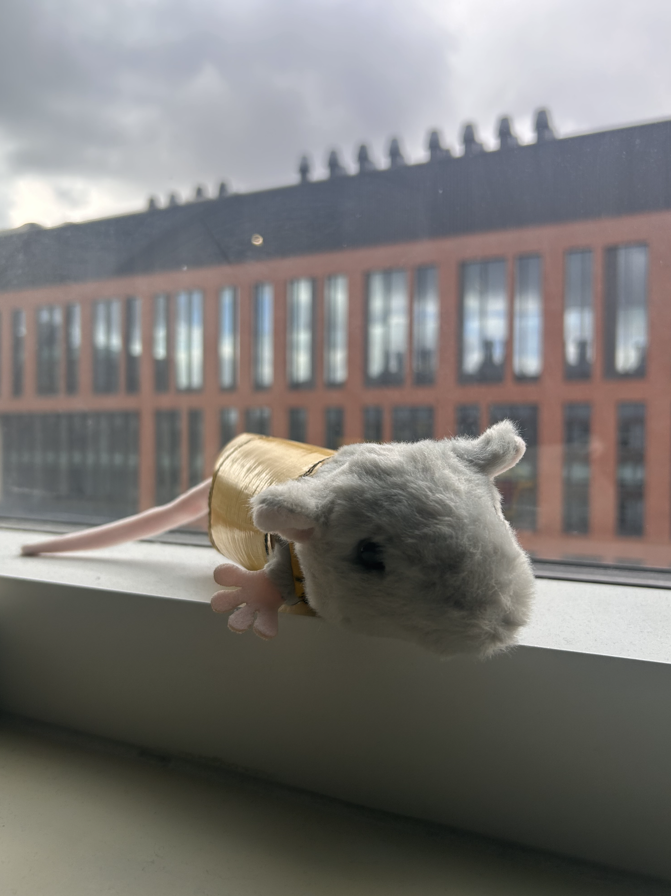 Photo of stuffed animal rat