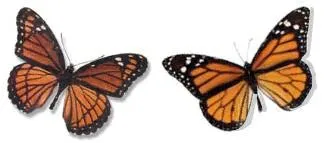 Alzheimer's mimic 2