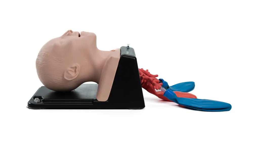 TruCorp AirSim Child Bronchi X