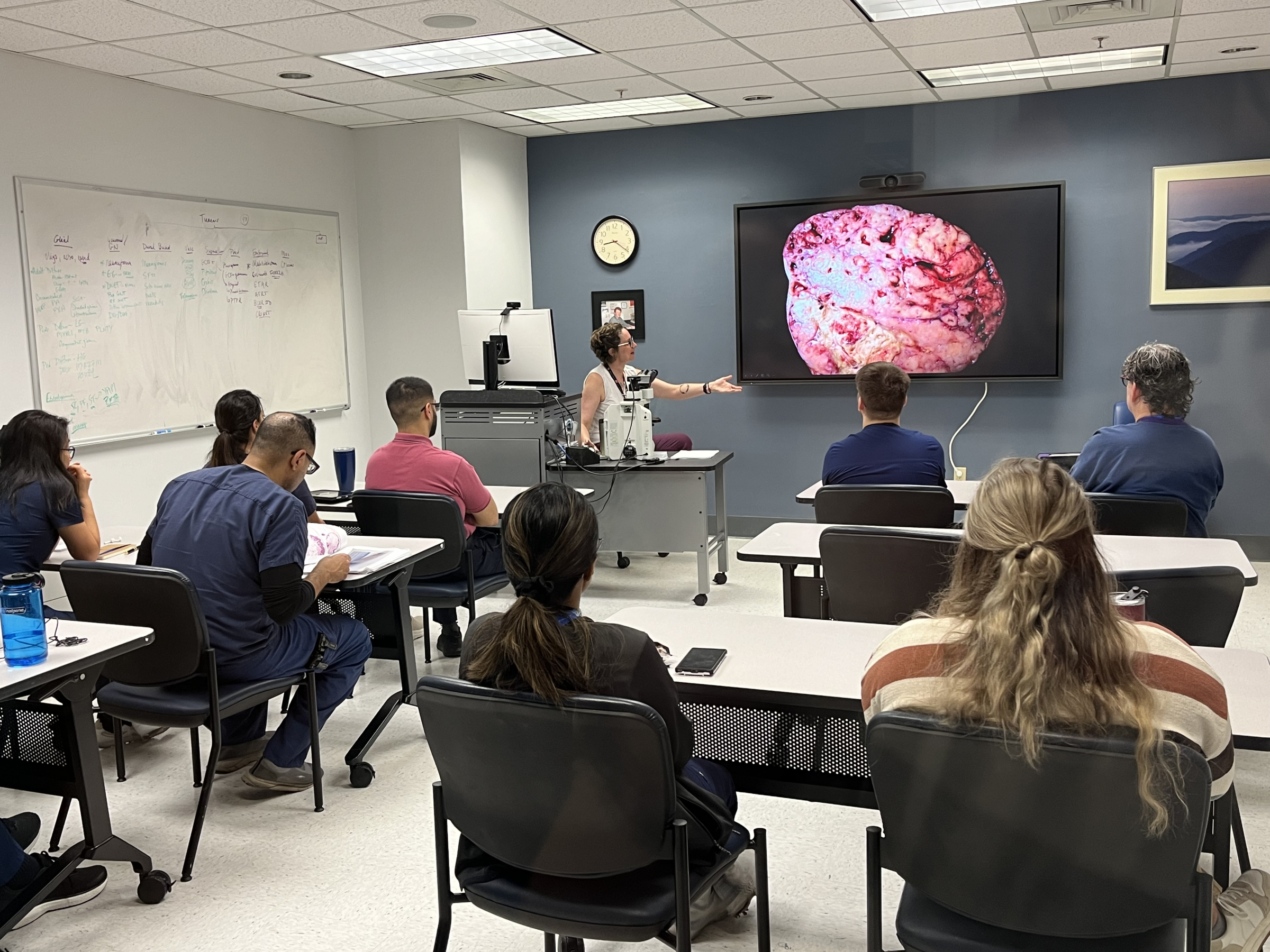 Dr. Janna Neltner presents ovarian tumors during a gynecologic pathology didactic.