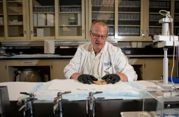 Dr. Peter Nelson