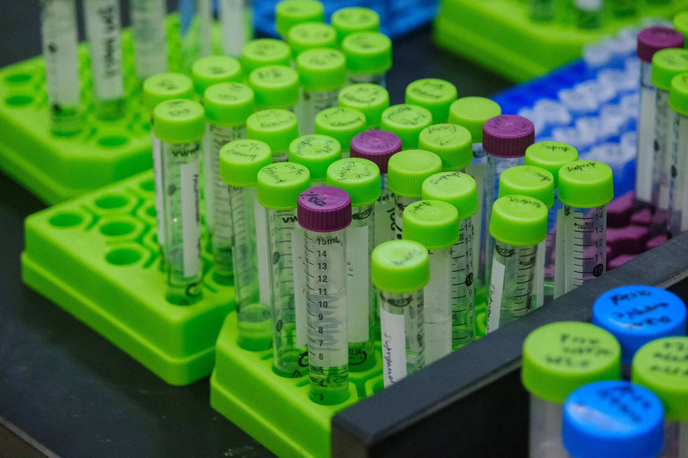 Many test tubes stand in a green test tube holder. They have different colored tops, ranging from blue to purple to green.