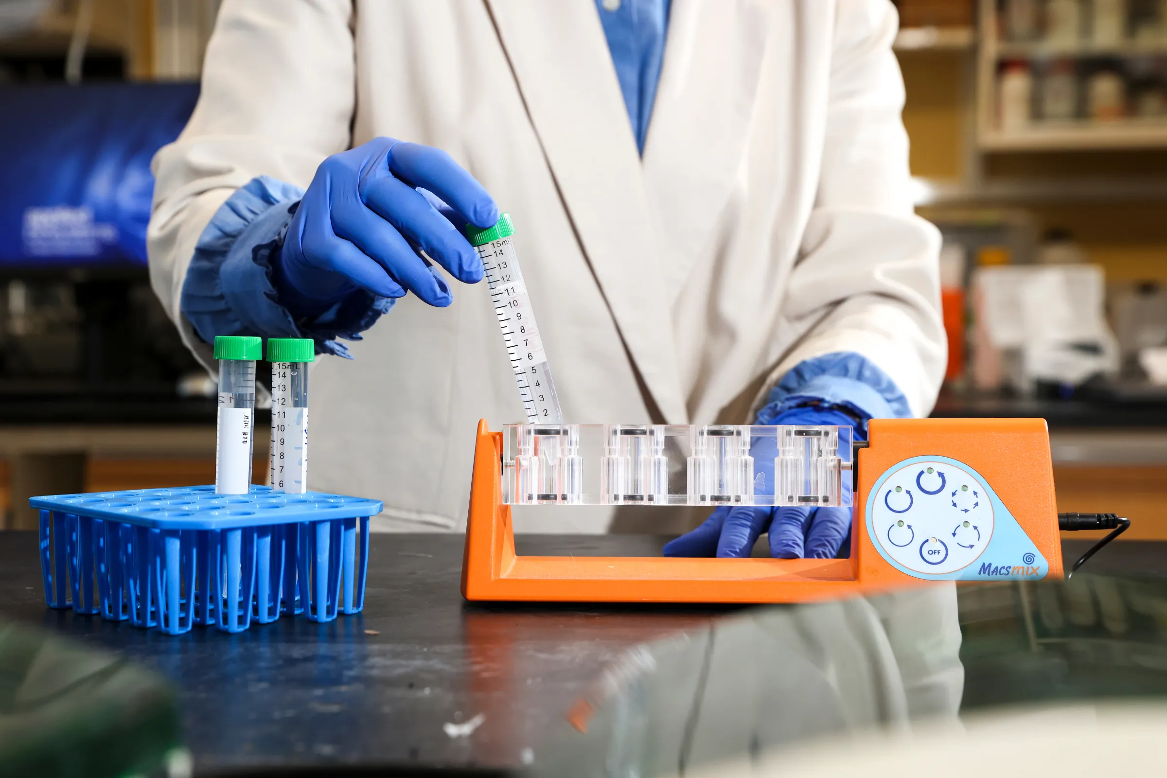 Sanders-Brown Center on Aging's Dr. Maj-Linda Selenica works on understanding the mechanism behind the disease pathology and developing therapeutic advancements, with a focus on TDP-43 proteinopathies and dementia.