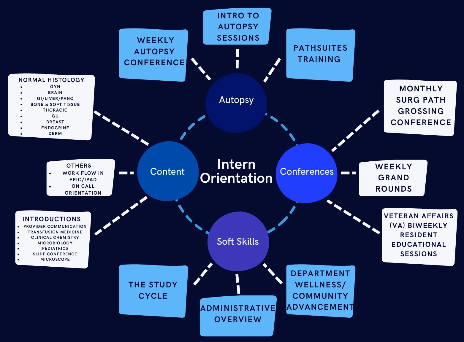 Orientation lectures graphic organizer