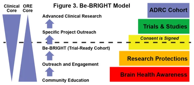 Be BRIGHT Model Approach
