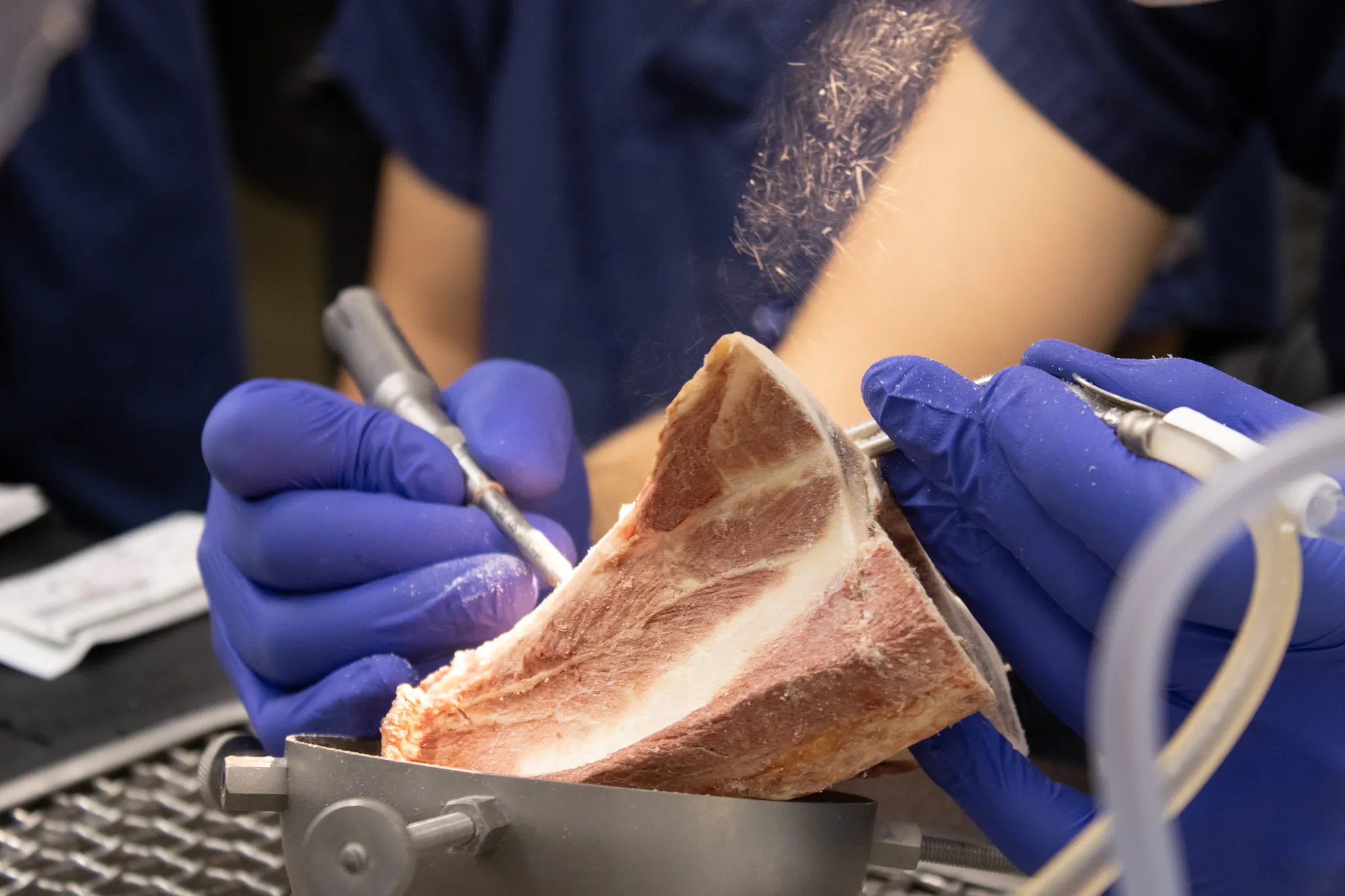 A close up of a bone being utilized in a temporal bone simulation