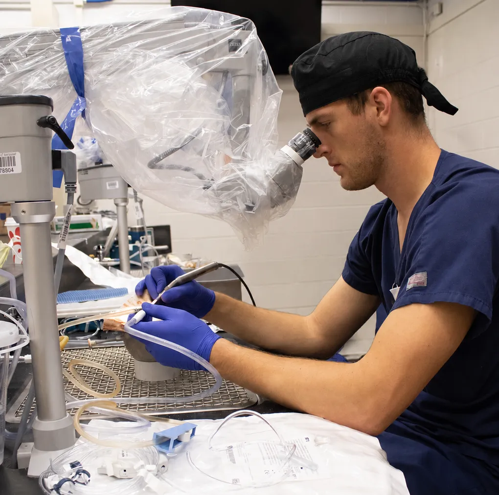 A picture of an otolaryngology resident participating in a temporal bone lab