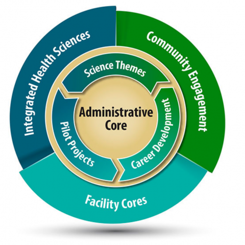 Administrative Core:  integrated health sciences, community engagement, facility cores, pilot projects, career development, science themes