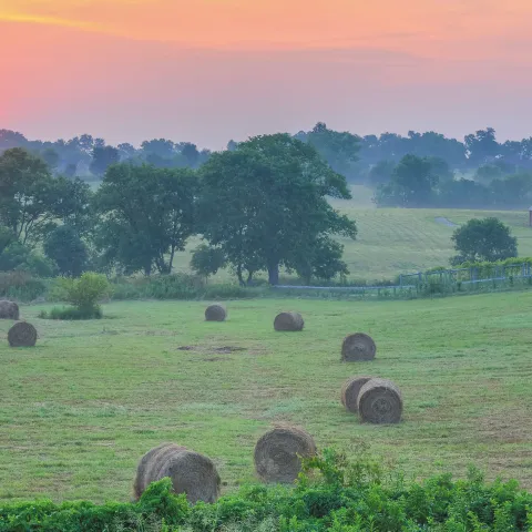 Sunset in background with field and hay bales in the foreground