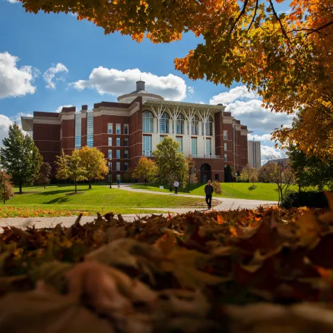 UK William T. Young library