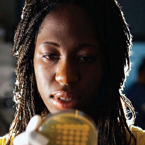 UK student conducting research, holding a petri dish