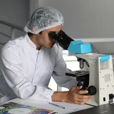 Person using microscope