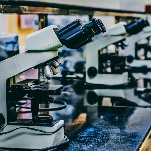 Microscopes in a row sitting on a desk