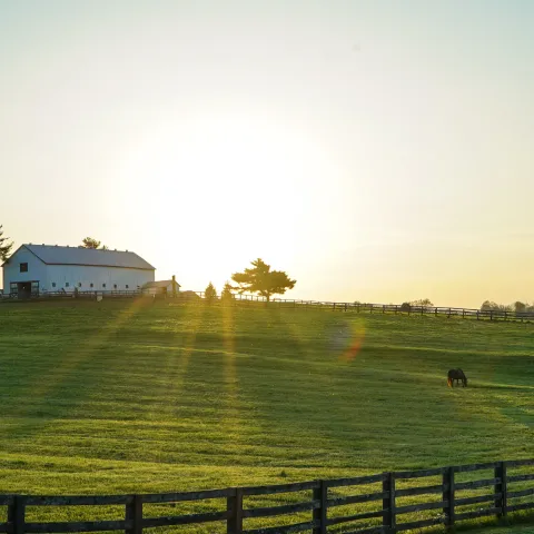 Kentucky farm