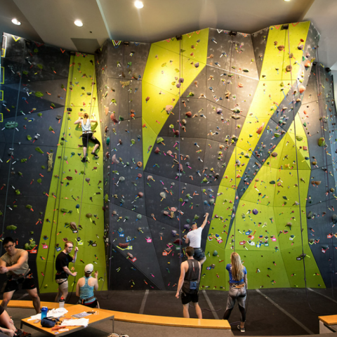 climbing wall in the Johnson Center