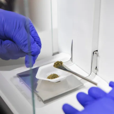 Lab technician working with a small drug sample.