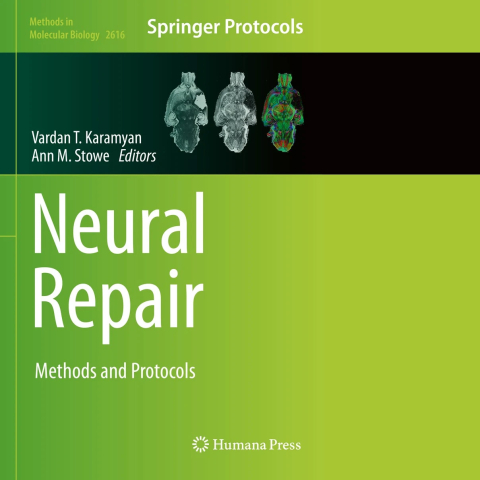 front cover of Neural Repair: Methods and Protocols textbook