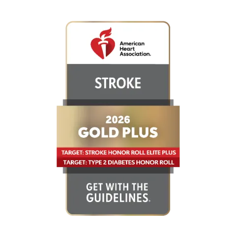 american heart association badge gold plus stroke