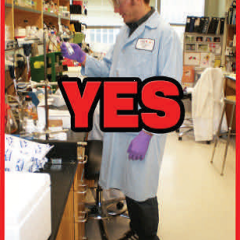 Lab Yes.png
