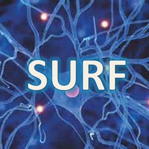SURF Picture - website.png