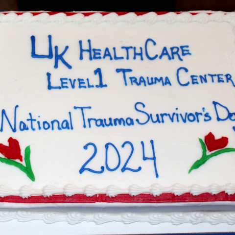 Cake commemorating 2nd Annual Trauma Survivors Day 