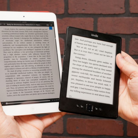 iPad-Mini-vs-Kindle-Paperweight-The-Best-E-Book-Reader.jpg