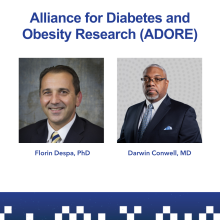 graphic featuring headshots of Drs. Despa and Conwell