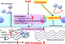 Cilostazol Image.jpg