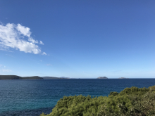 IMG_1698.jpeg