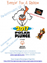 Polar Plunge 2017.jpg