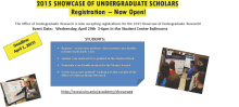 Undergraduate Research_0.jpg