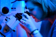 Wilcock microscope.jpg