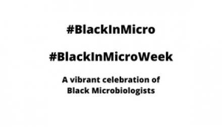 #blackinmicro #blackinmicroweek September 27 - October 1