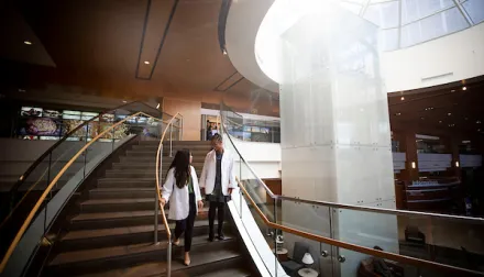 Medical students walking down the stairs at the UK College of Medicine Lexington campus