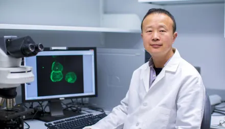 Dr. Ren Xu wearing his white coat, sitting at his computer.